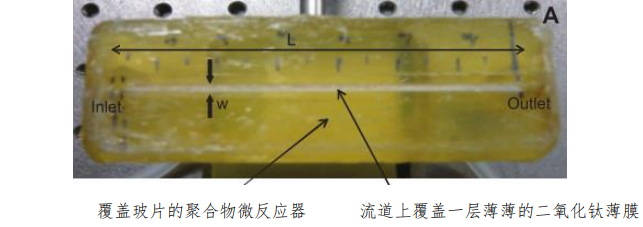 图 1 聚合物微通道反应器示意图