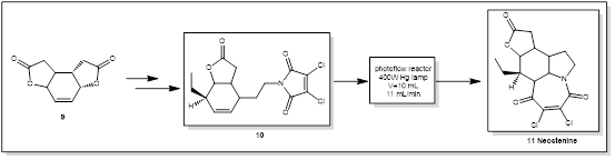 图3 新斯替宁碱光催化合成路线
