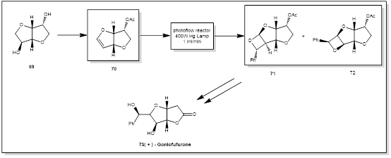 图6 Goniofufurone光催化合成路线