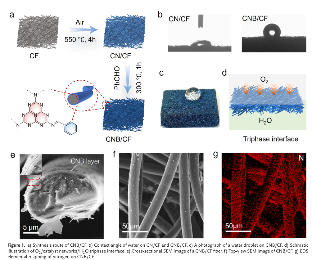 1767066487165012.png 1767066487165012.png