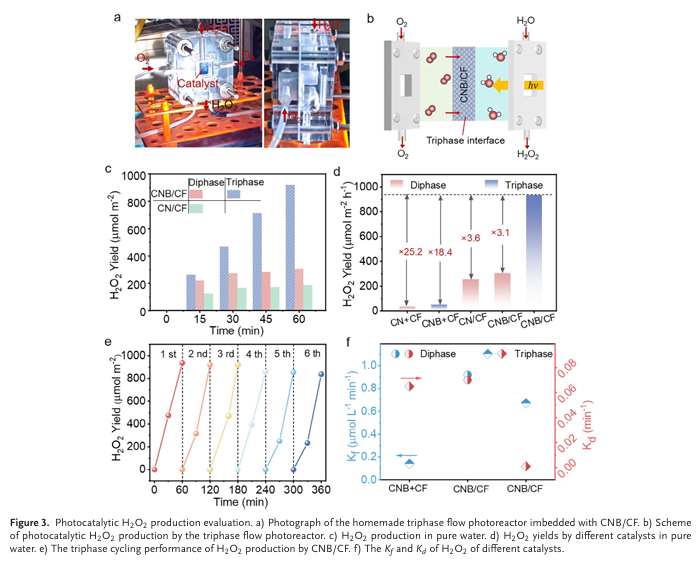 1767066554654645.png 1767066554654645.png