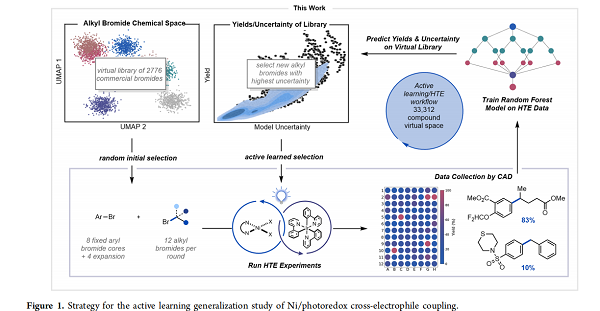 1775804400109840.png 图片1.png